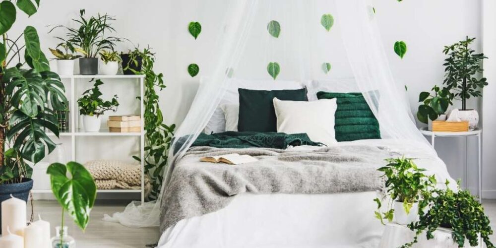 Tanaman hias untuk kamar tidur